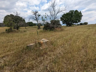 Material remains, 2023.